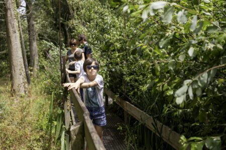famille, jardins de Brocéliande, parcours à l'aveugle